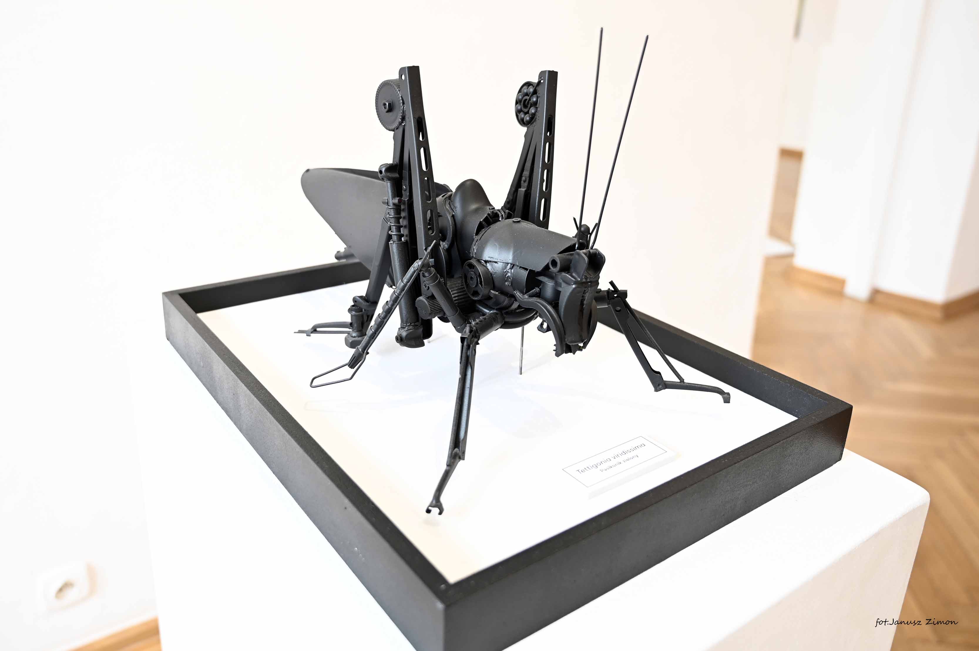 Stella Zadros, Piotr Twardowski,Tycjan Twardowski - ,,LIFE'