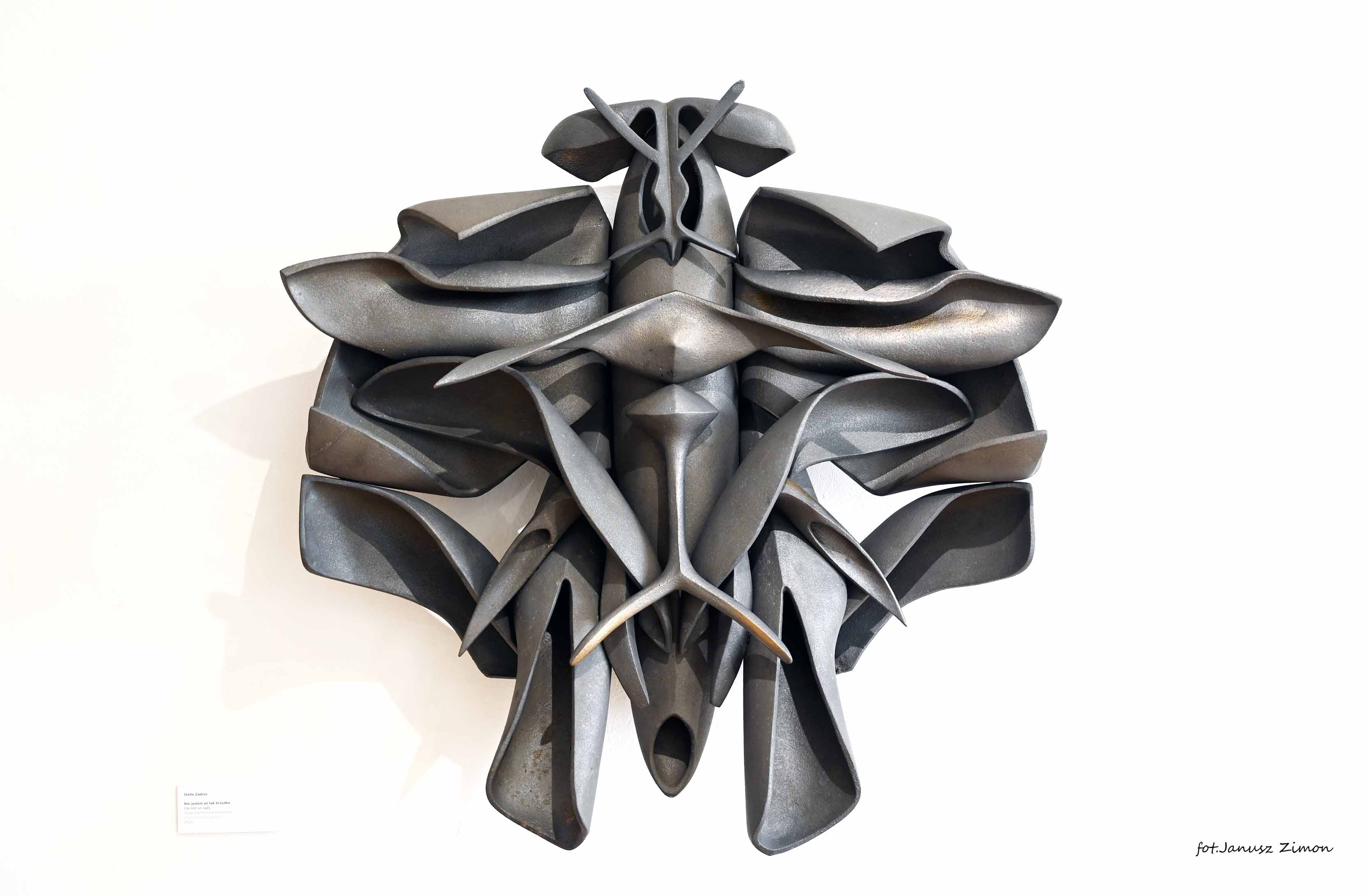 Stella Zadros, Piotr Twardowski,Tycjan Twardowski - ,,LIFE'