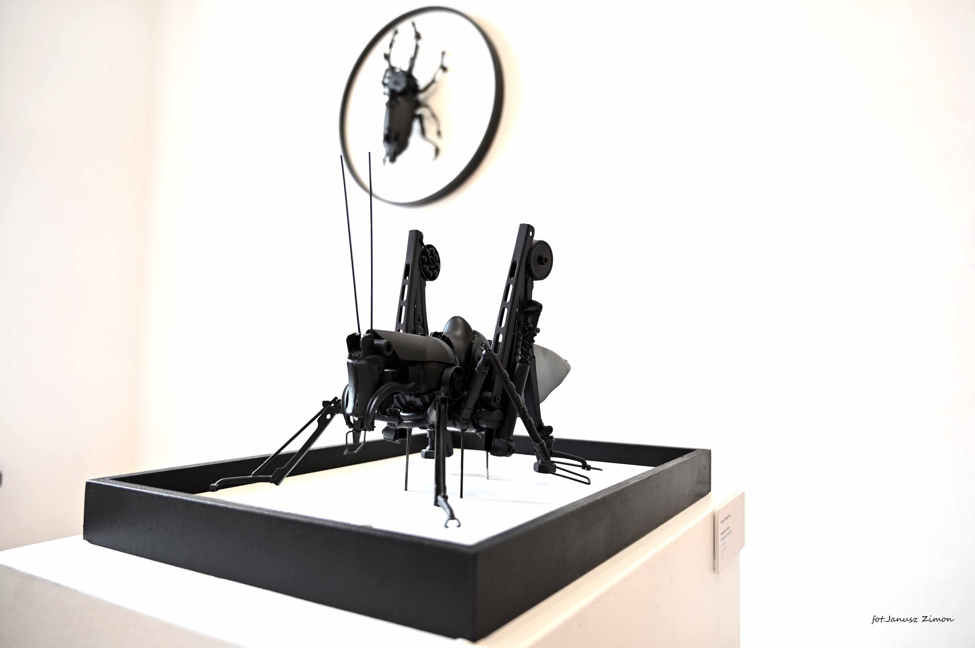 Stella Zadros, Piotr Twardowski,Tycjan Twardowski - ,,LIFE'