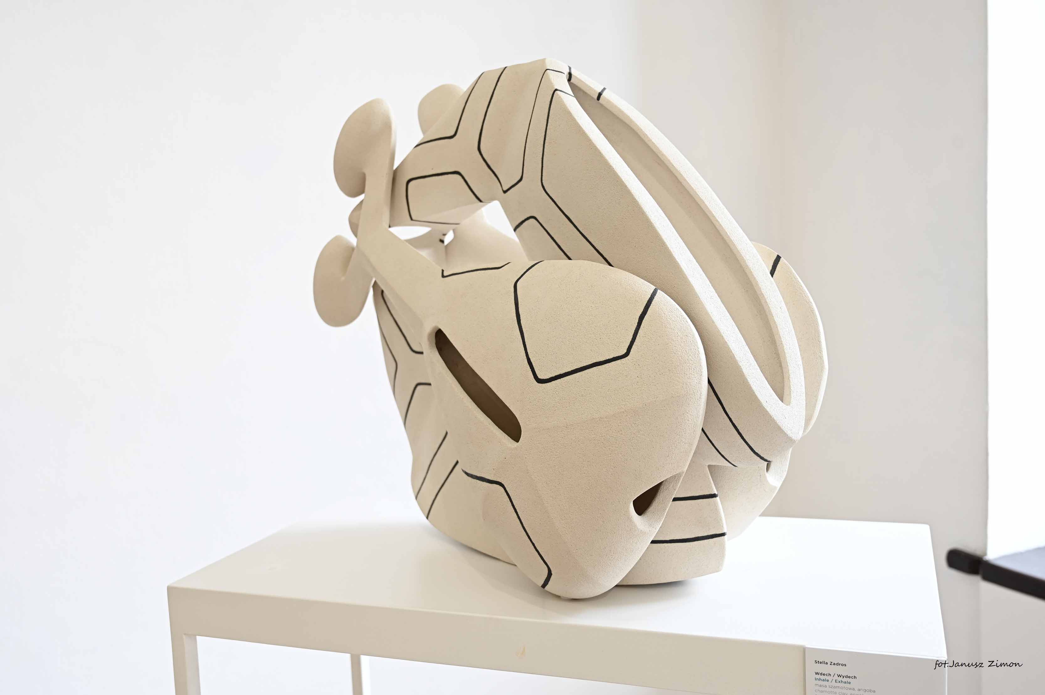 Stella Zadros, Piotr Twardowski,Tycjan Twardowski - ,,LIFE'