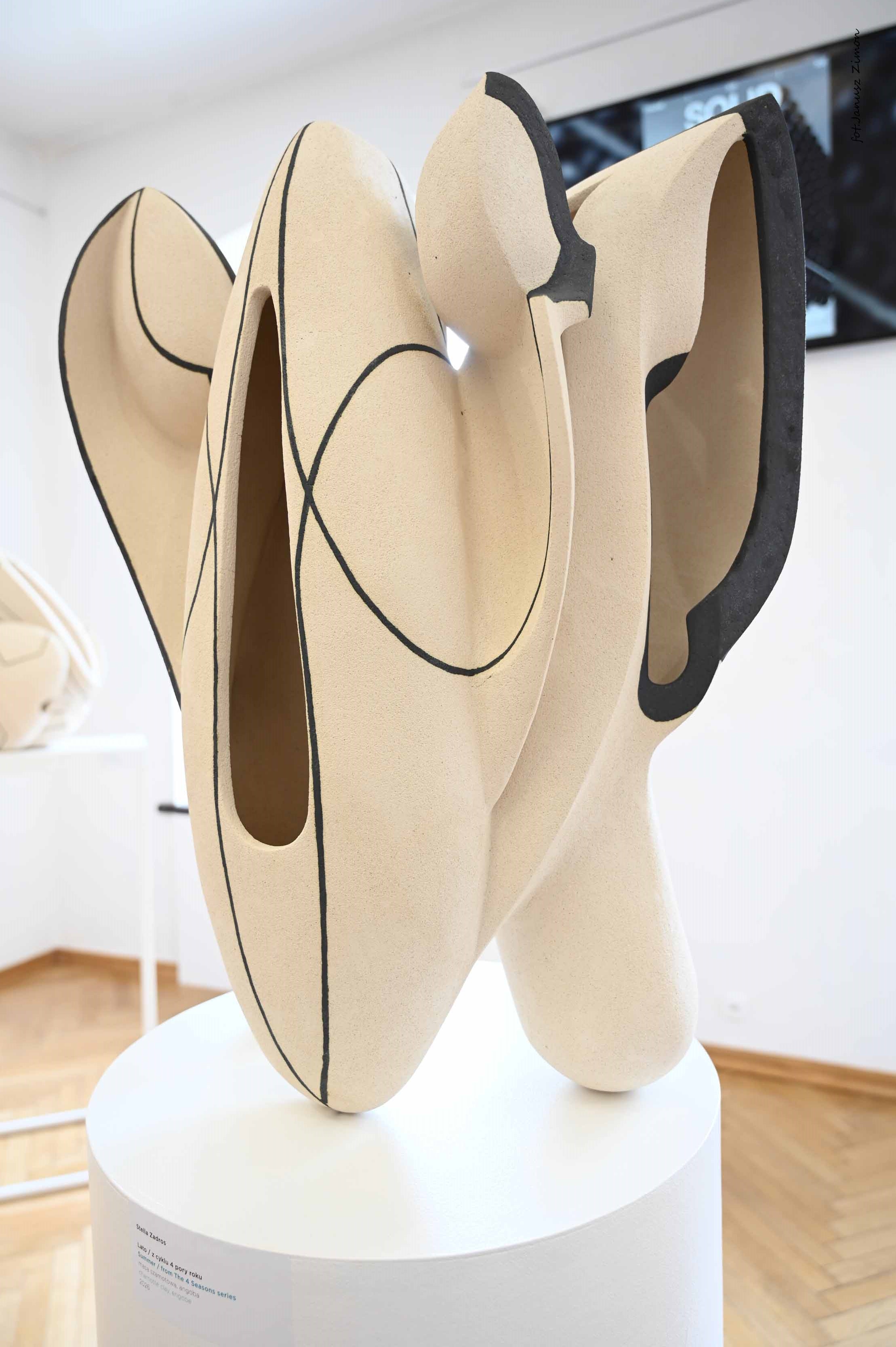 Stella Zadros, Piotr Twardowski,Tycjan Twardowski - ,,LIFE'